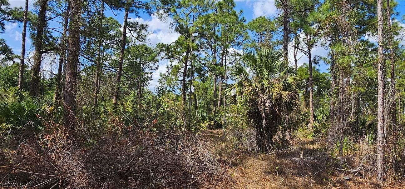 1123 Lincoln Avenue, Lehigh Acres, FL 33972 photo 3