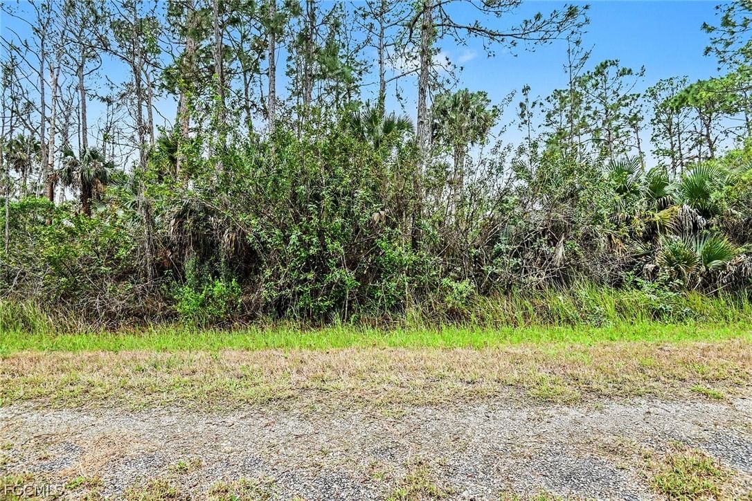 515 Woodman Drive, Lehigh Acres, FL 33972 photo 3