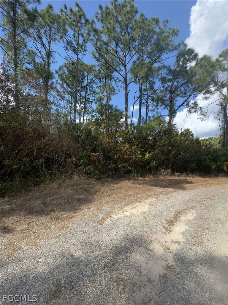 646 Nadeau Court, Lehigh Acres, FL 33972 photo 3