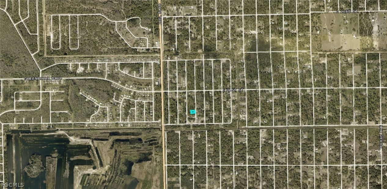 2009 Grayson Avenue, Alva, FL 33920 photo 3