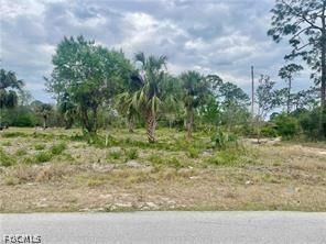 614 Grant Ave Ave, Lee, FL 33972 photo 2