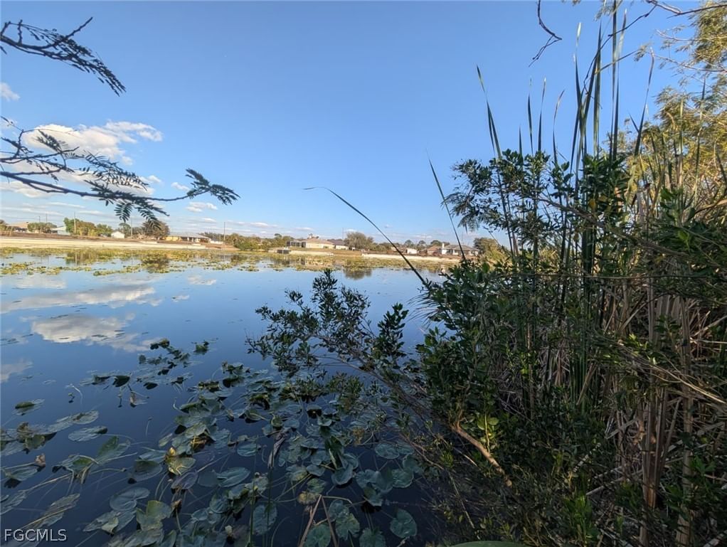 2133 NE 20th Lane, Cape Coral, FL 33909 photo 3