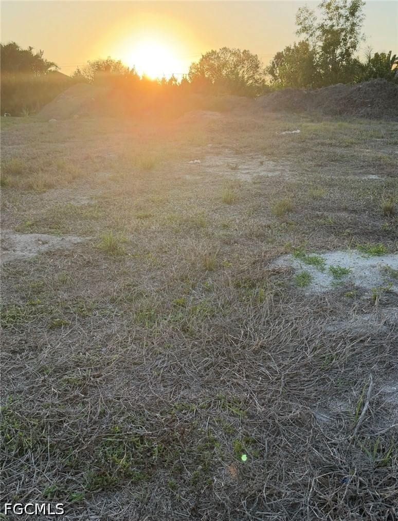 4224 SW 15th Place, Cape Coral, FL 33914 photo 2