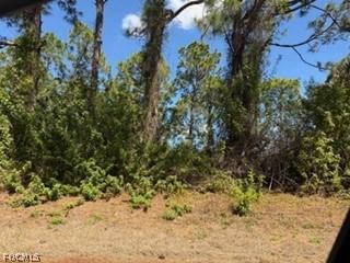 1031 Maddock Street E, Lehigh Acres, FL 33974 photo 2