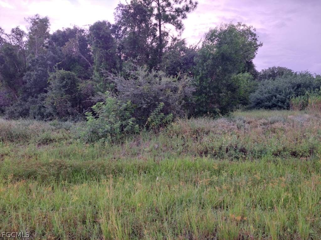 145 Pine Lane, Lehigh Acres, FL 33973 photo 2