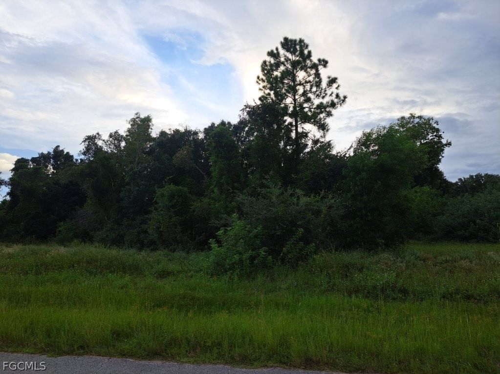 145 Pine Lane, Lehigh Acres, FL 33973 photo 3