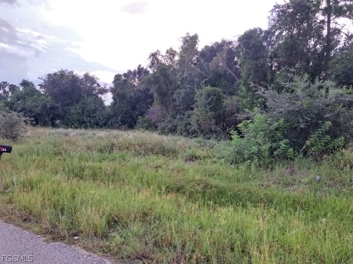 145 Pine Lane, Lehigh Acres, FL 33973 photo 5