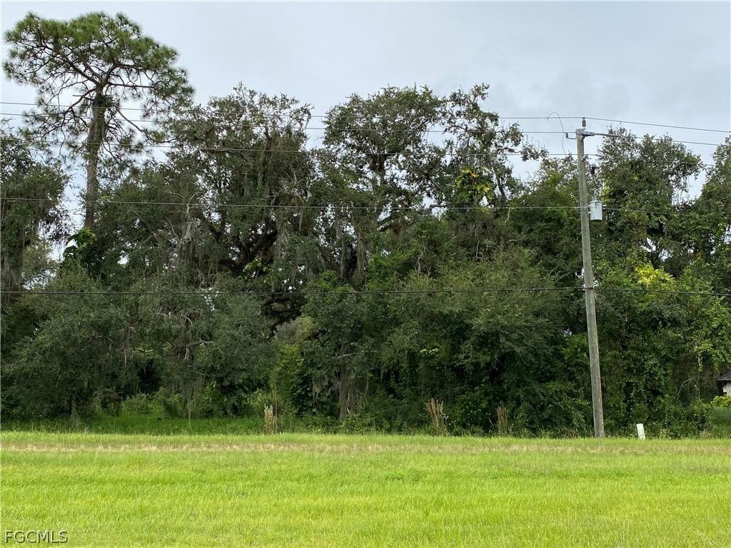 N State Road 29, Labelle, FL 33935 photo 5