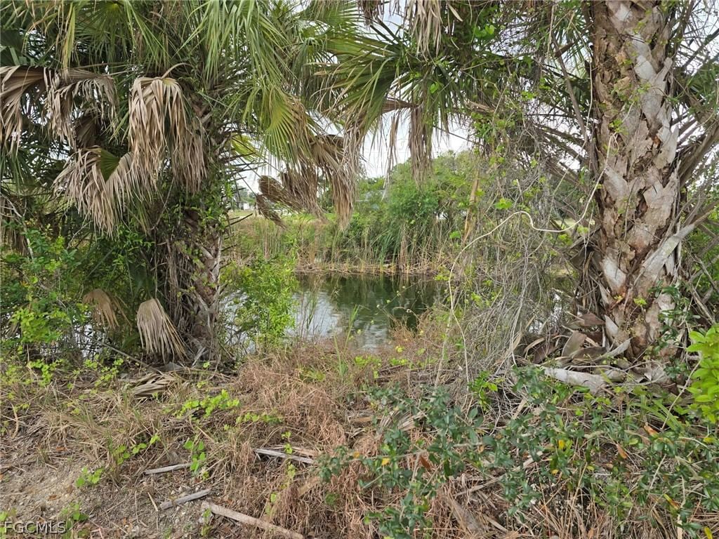 1440 NE 33rd Street, Cape Coral, FL 33909 photo 4