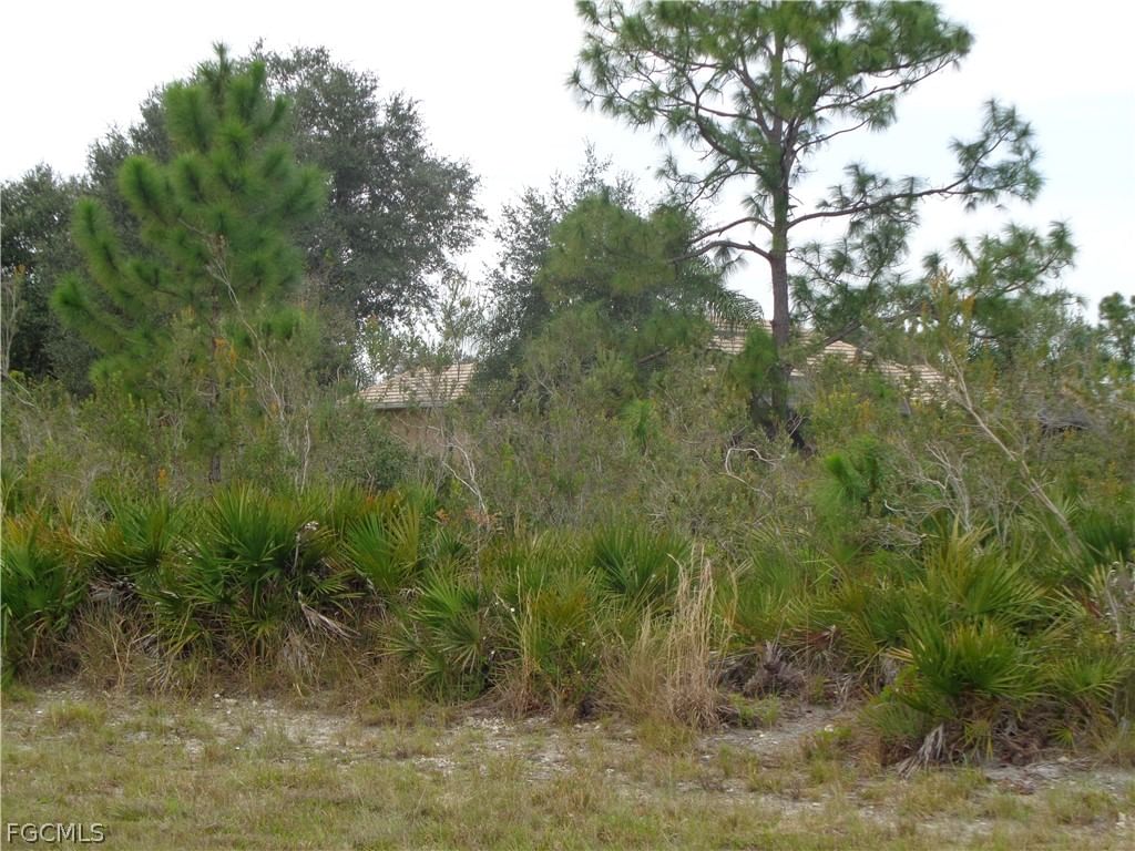 2154 Vantage Street, Lehigh Acres, FL 33972 photo 2