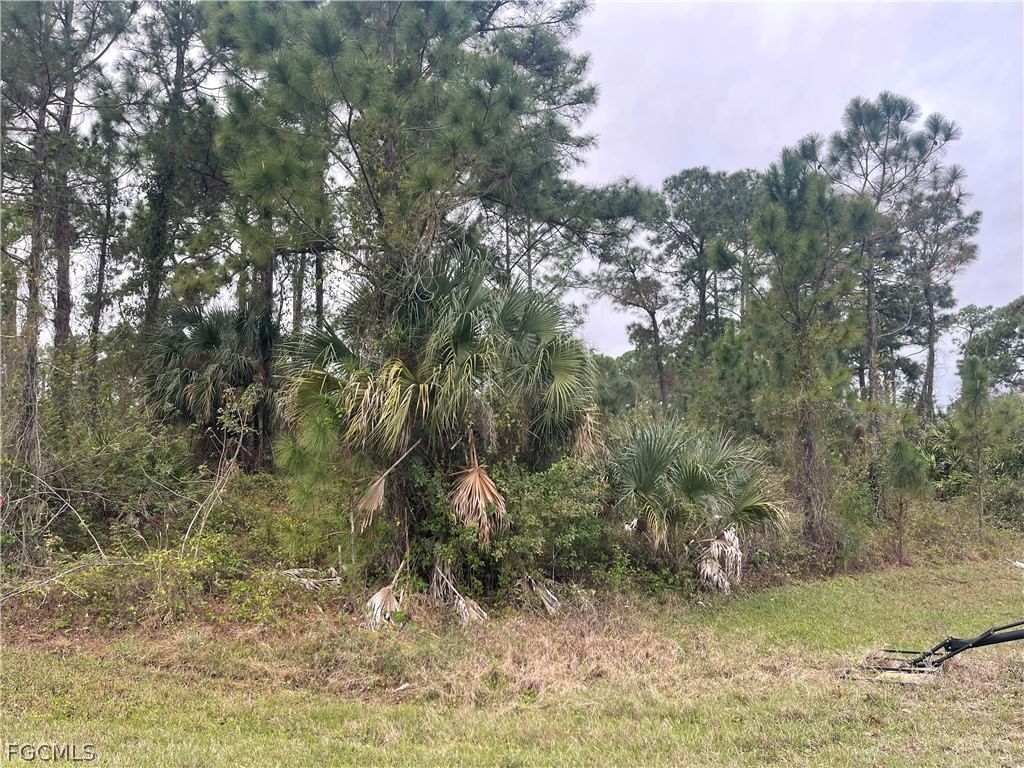 8004 Royal Court, Labelle, FL 33935 photo 2
