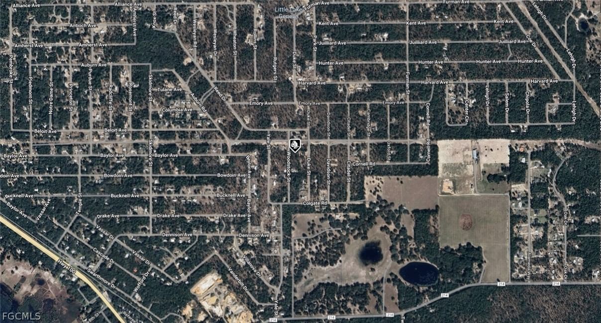 7243 WOODSTOCK Street, Keystone Heights, FL 32656 photo 3