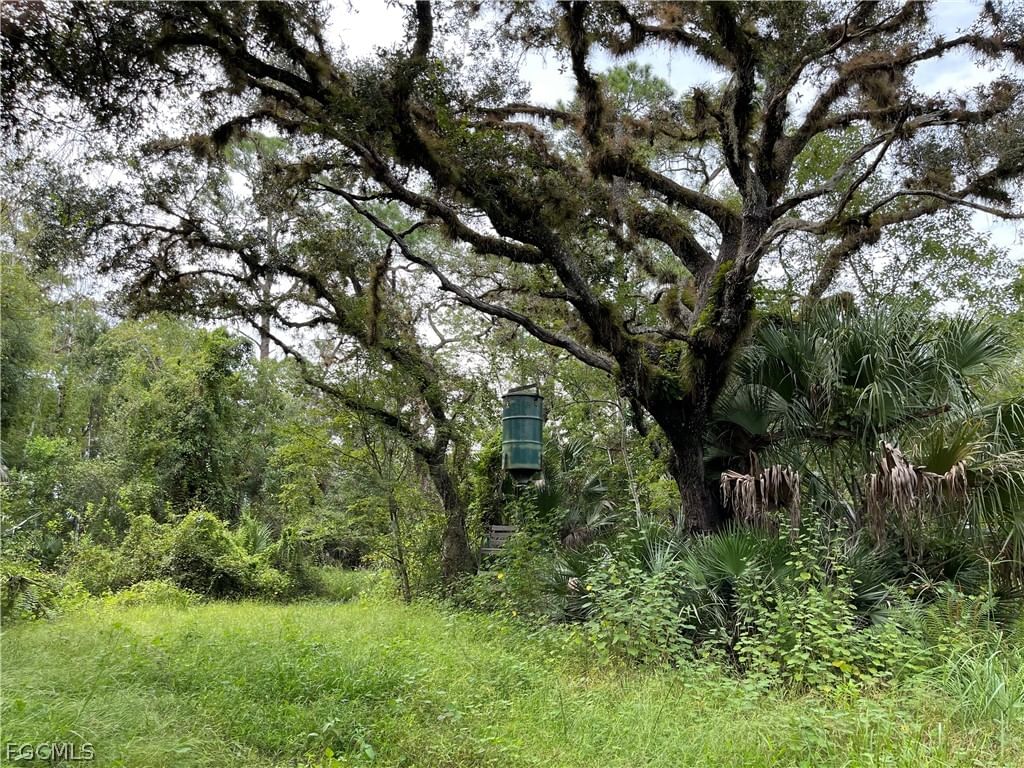 Secretariat Drive, Labelle, FL 33935 photo 2