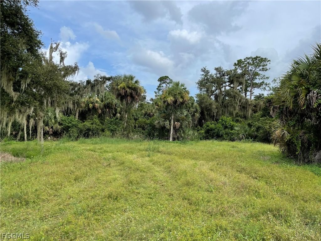 Secretariat Drive, Labelle, FL 33935 photo 3