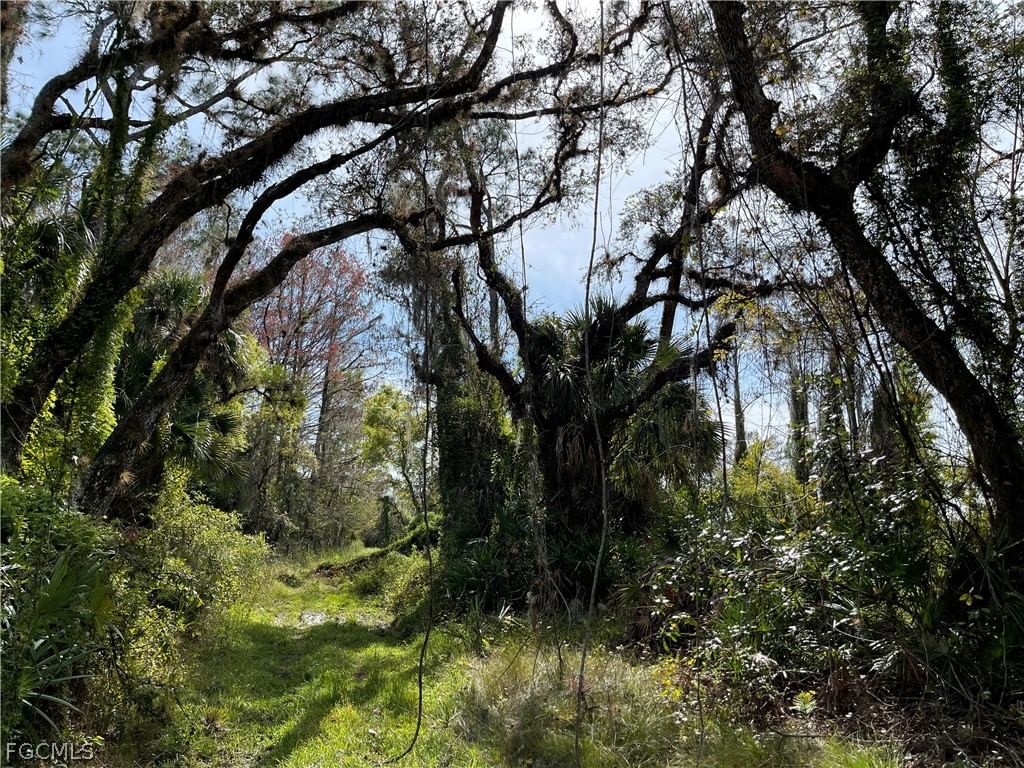 Secretariat Drive, Labelle, FL 33935 photo 4