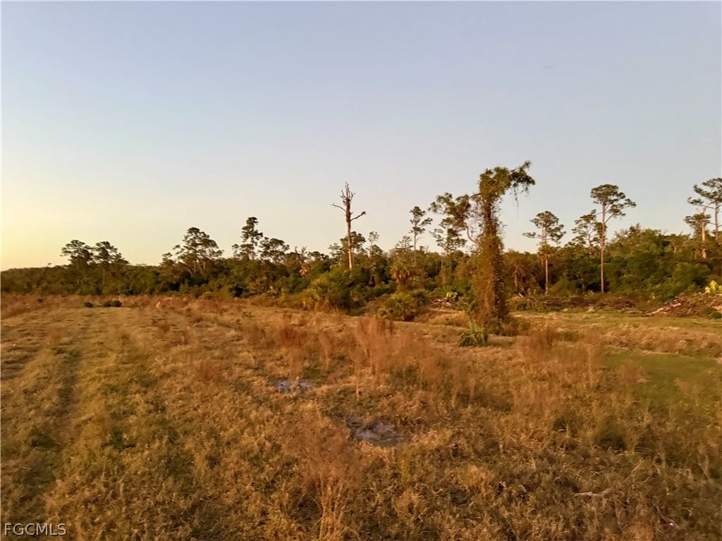 Secretariat Drive, Labelle, FL 33935 photo 4