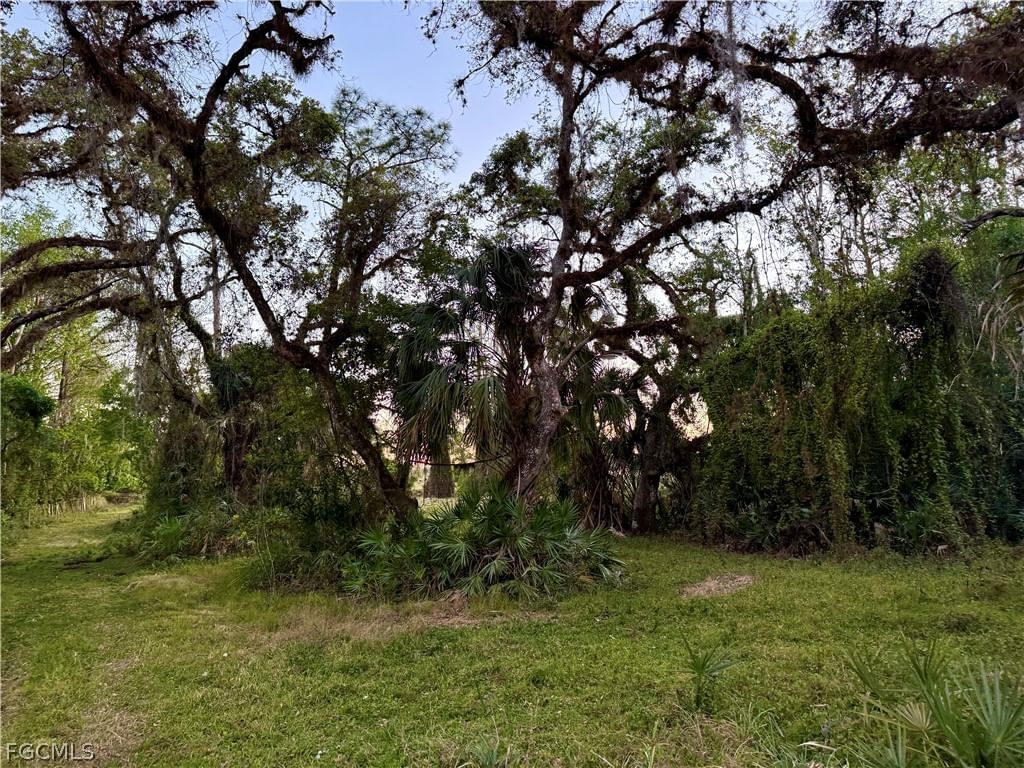 Secretariat Drive, Labelle, FL 33935 photo 5
