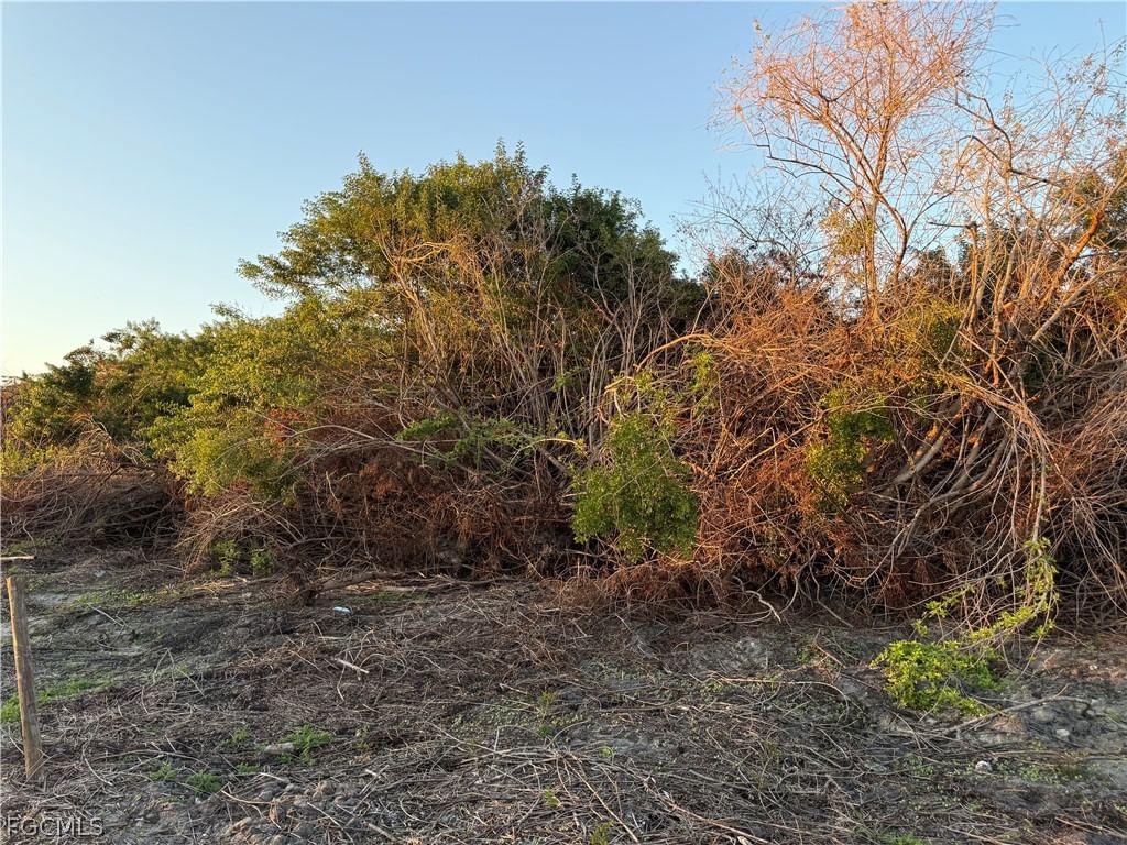 5801 4th Road, Labelle, FL 33935 photo 4