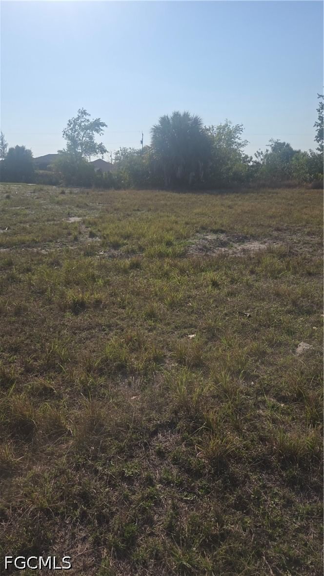 3240 Old Burnt Store Road N, Cape Coral, FL 33993 photo 4