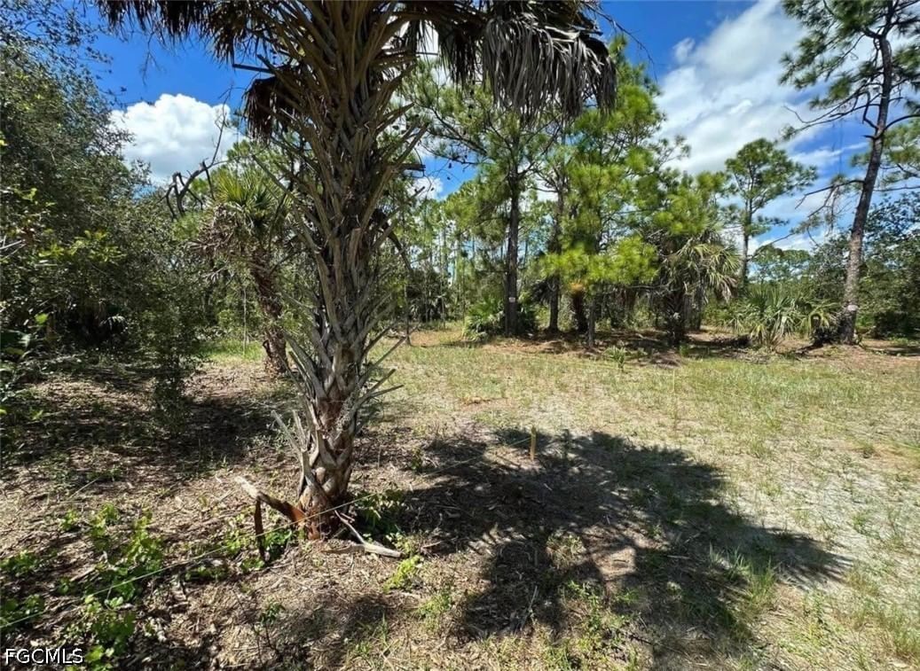 28100 Laurelwood Drive, Punta Gorda, FL 33955 photo 4