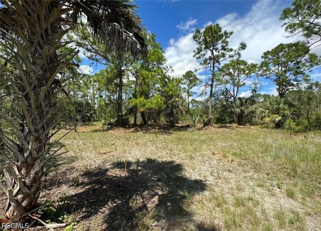28100 Laurelwood Drive, Punta Gorda, FL 33955 photo 5
