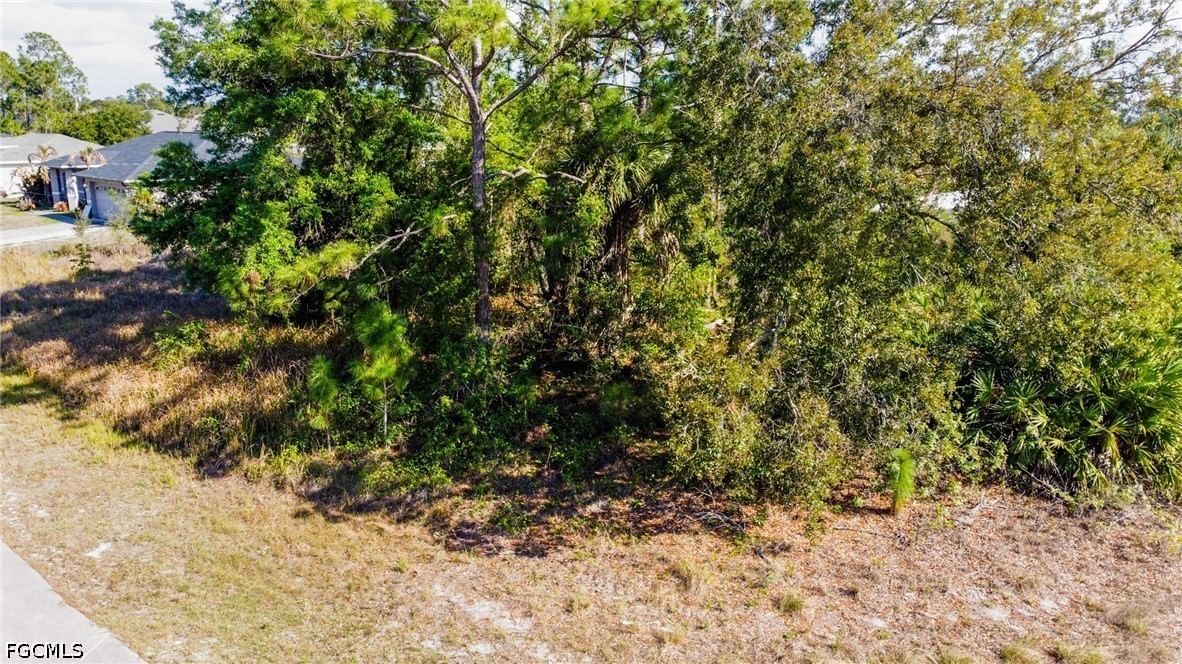 3421 39th Street SW, Lehigh Acres, FL 33976 photo 4