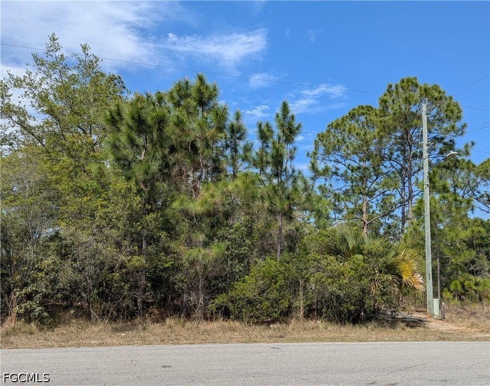 1855 Lindenwood Drive, Lehigh Acres, FL 33972 photo 4