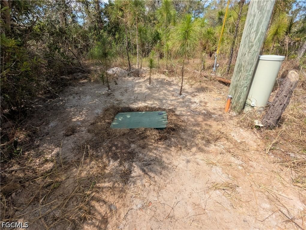 1855 Lindenwood Drive, Lehigh Acres, FL 33972 photo 5