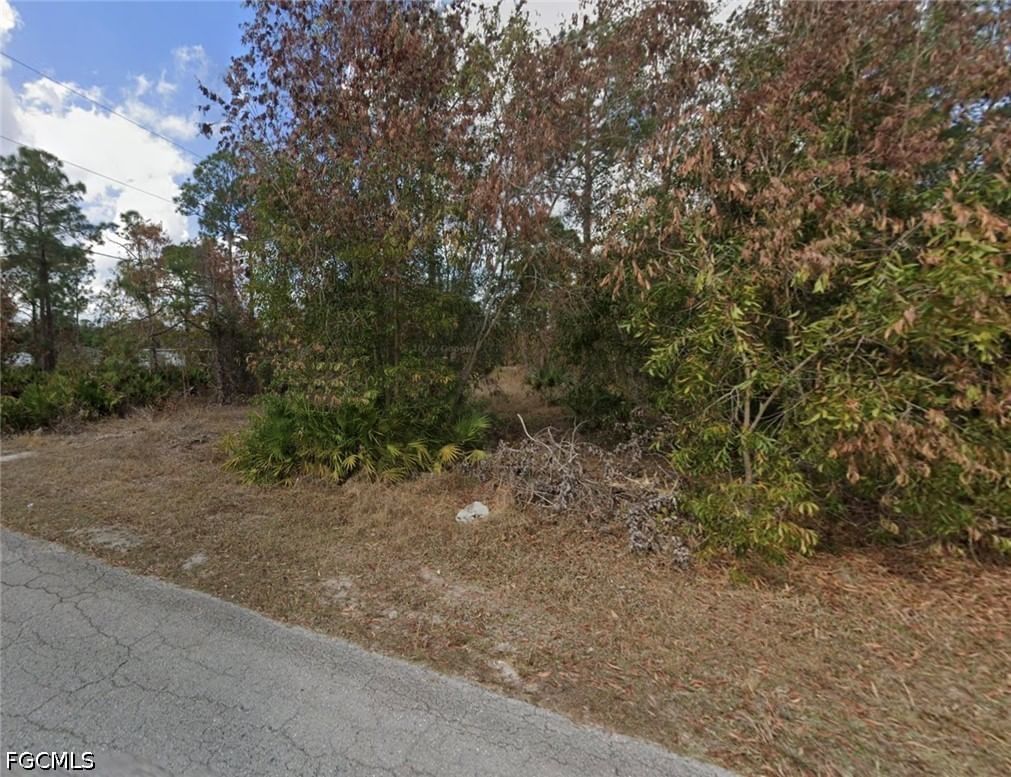 3605 E 3rd Street, Lehigh Acres, FL 33936 photo 2