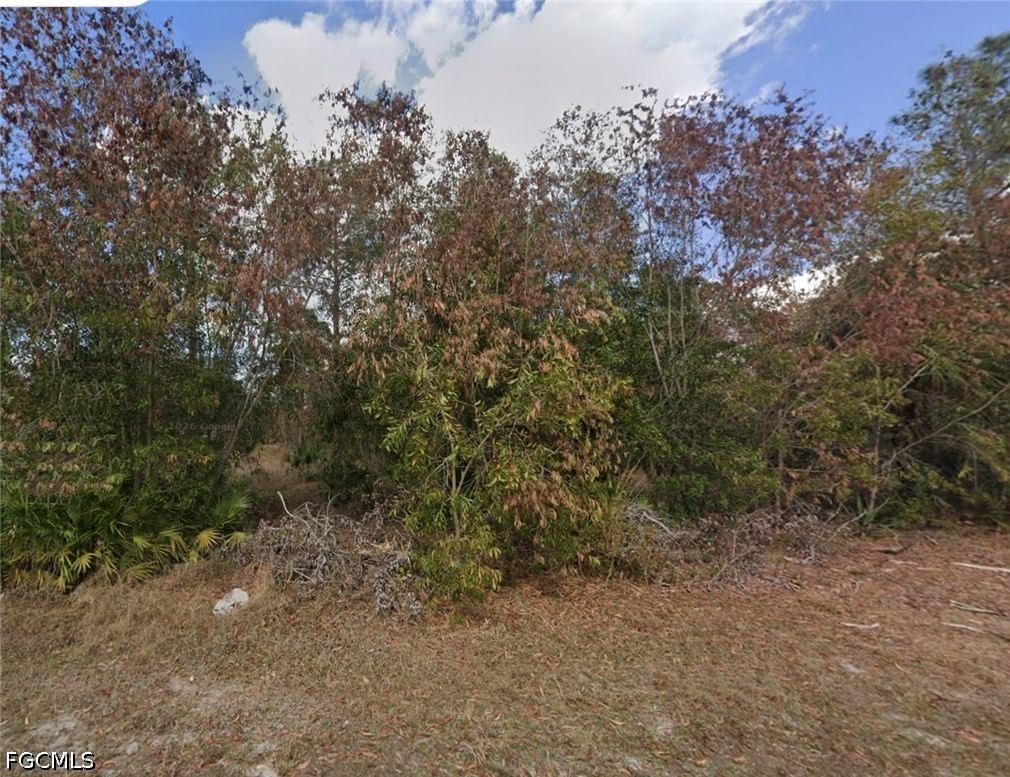3605 E 3rd Street, Lehigh Acres, FL 33936 photo 3