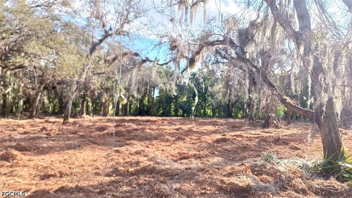 16470 B2 Daughtreys Creek, North Fort Myers, FL 33917 photo 3