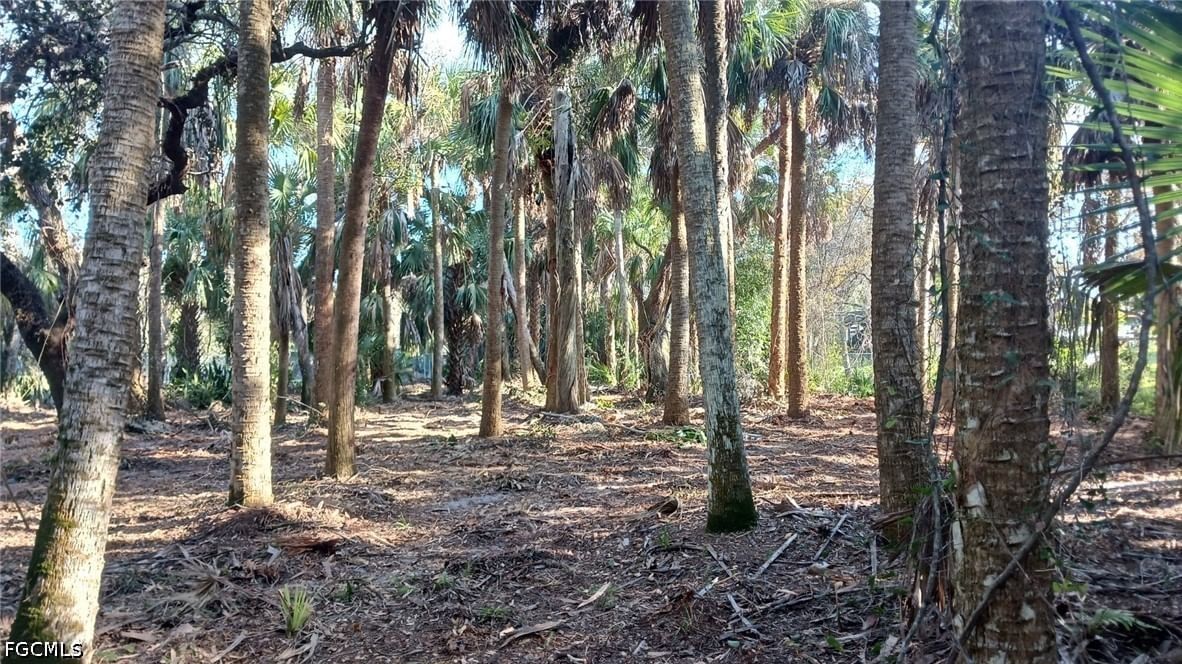 16470 B2 Daughtreys Creek, North Fort Myers, FL 33917 photo 5