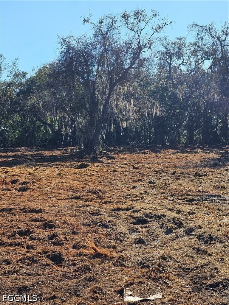 16470 B1 Daughtreys Creek Road, North Fort Myers, FL 33917 photo 3