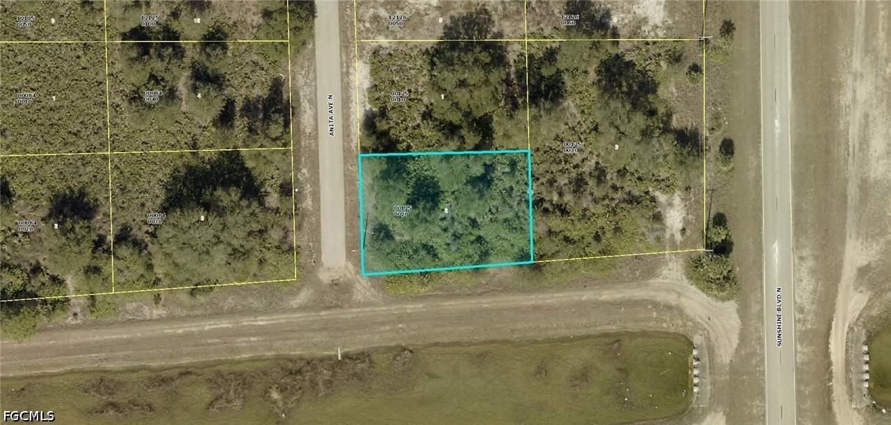 6000 Anita Avenue N, Lehigh Acres, FL 33971 photo 4