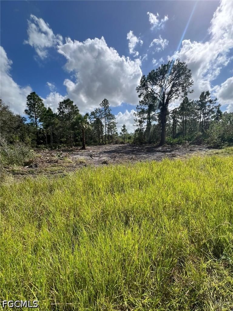 411 Lovers Avenue, Lehigh Acres, FL 33974 photo 2