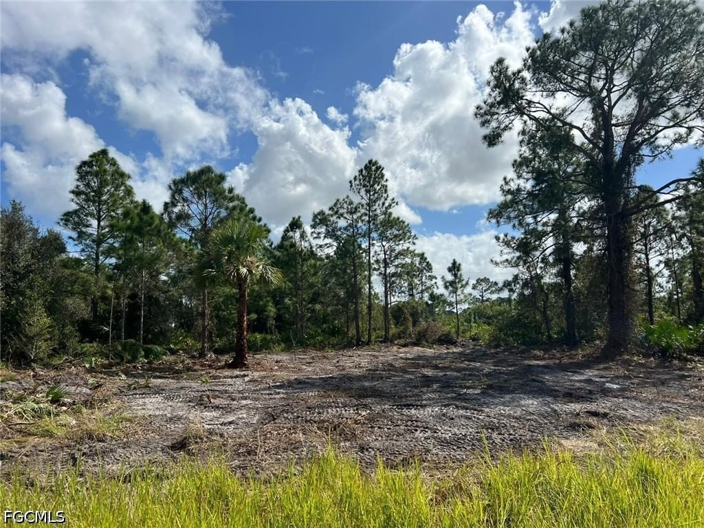 411 Lovers Avenue, Lehigh Acres, FL 33974 photo 3