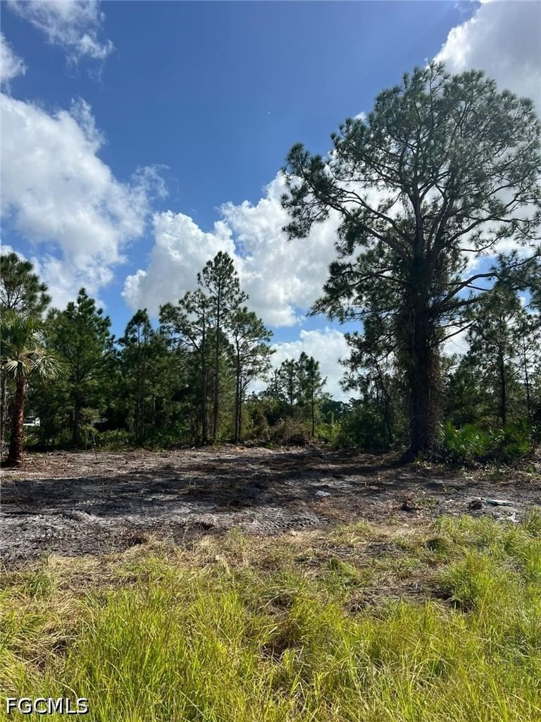 411 Lovers Avenue, Lehigh Acres, FL 33974 photo 4