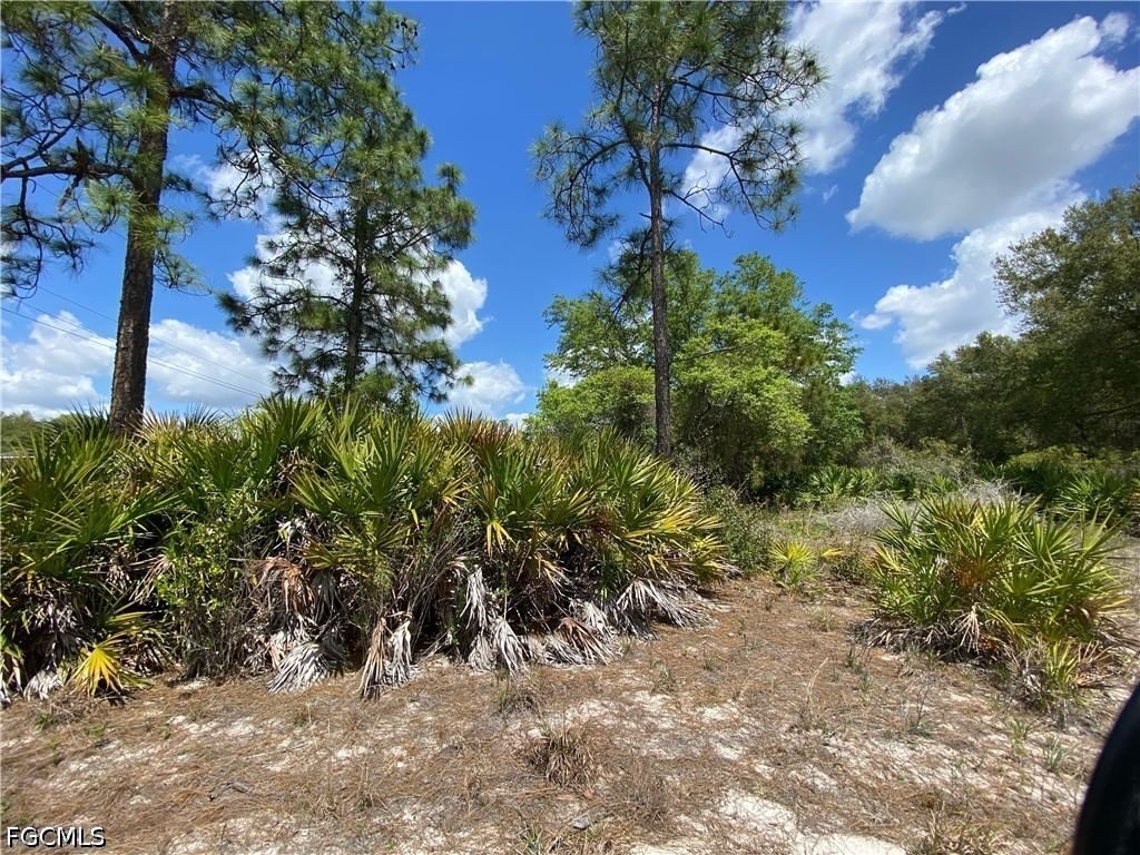1512 Clayton Avenue, Lehigh Acres, FL 33972 photo 4