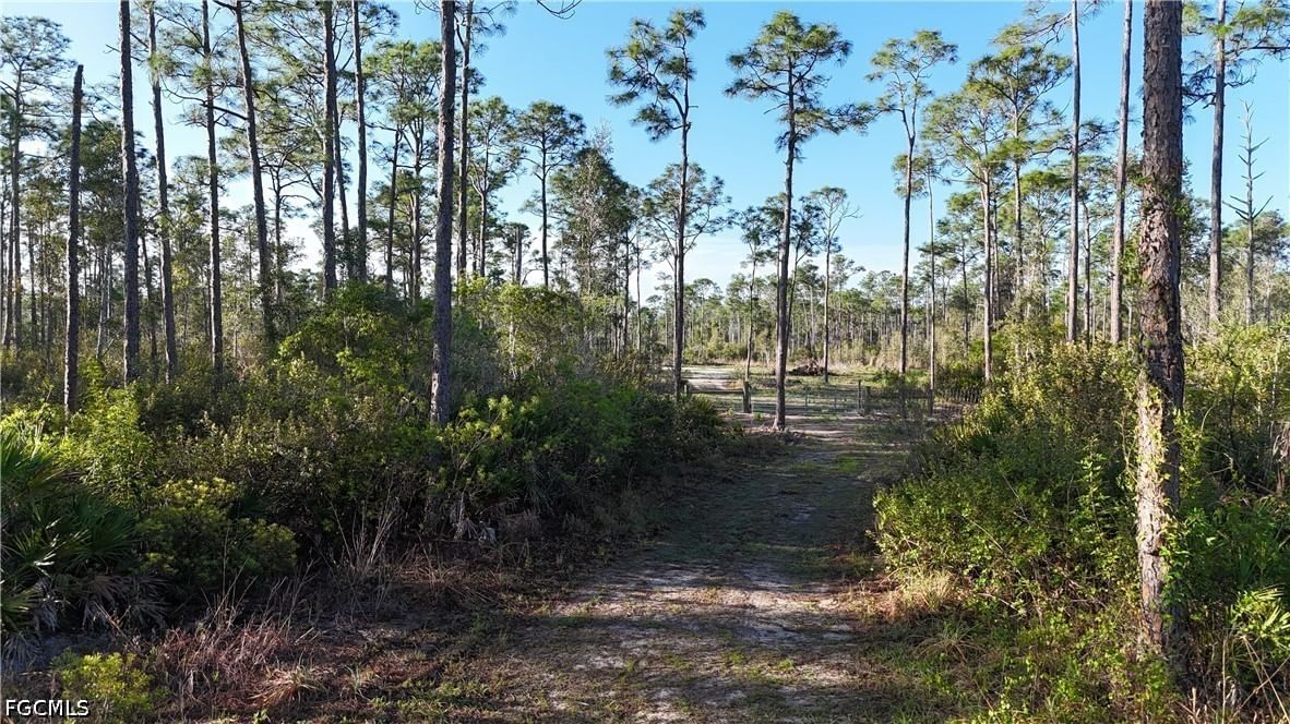14350 Burnt Store Road, Punta Gorda, FL 33955 photo 5