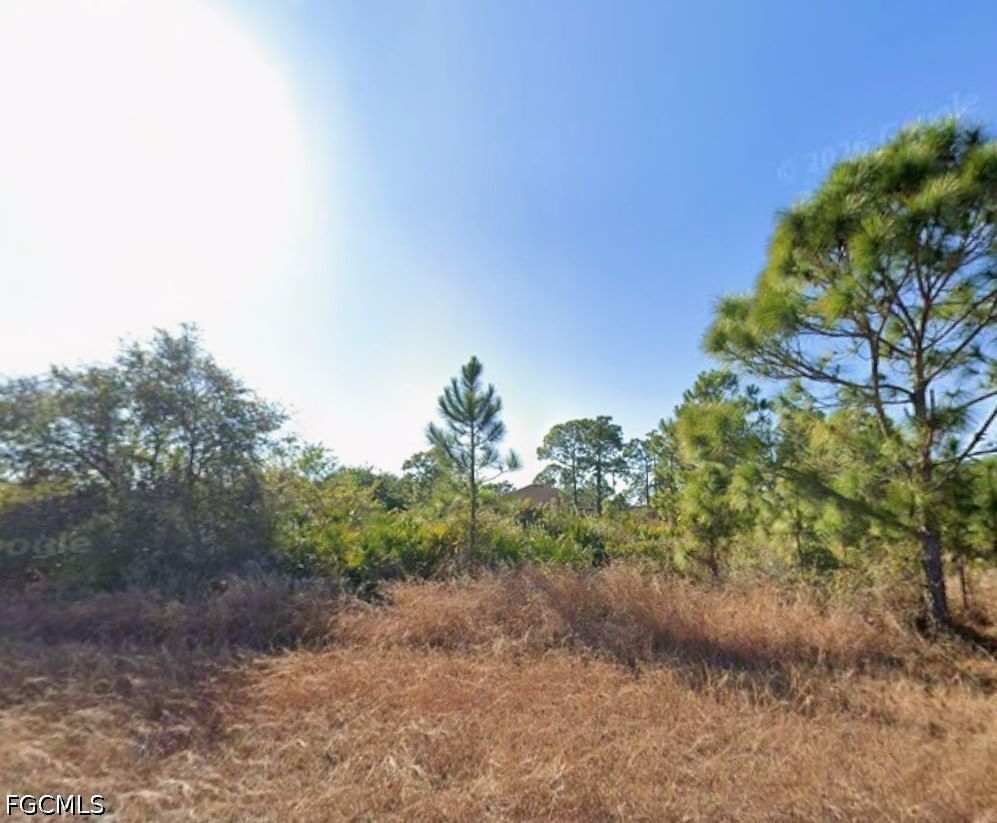 646 Stark Avenue S, Lehigh Acres, FL 33974 photo 3