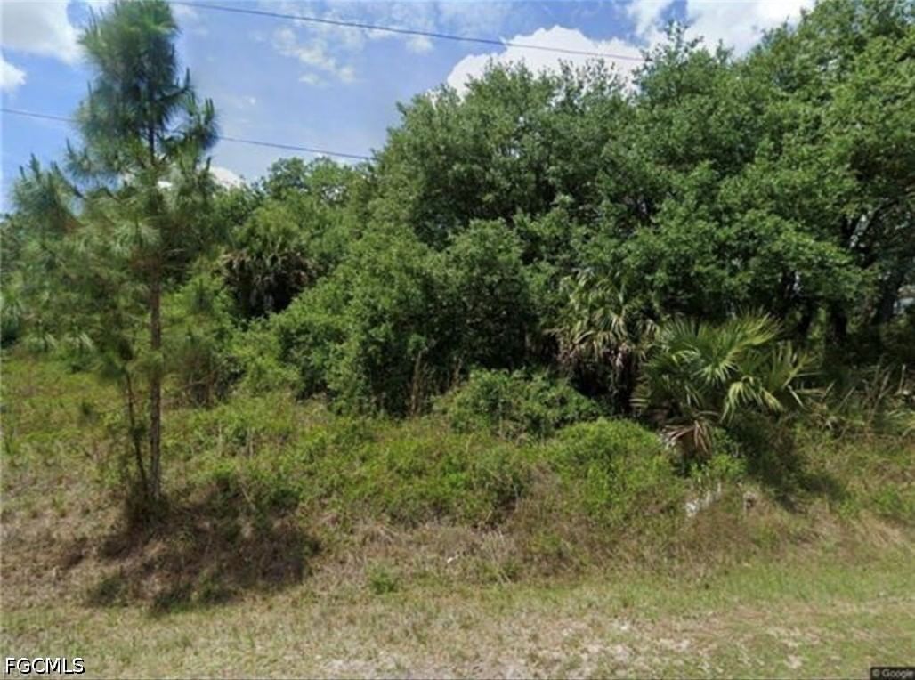 715 Scott Avenue, Lehigh Acres, FL 33972 photo 3