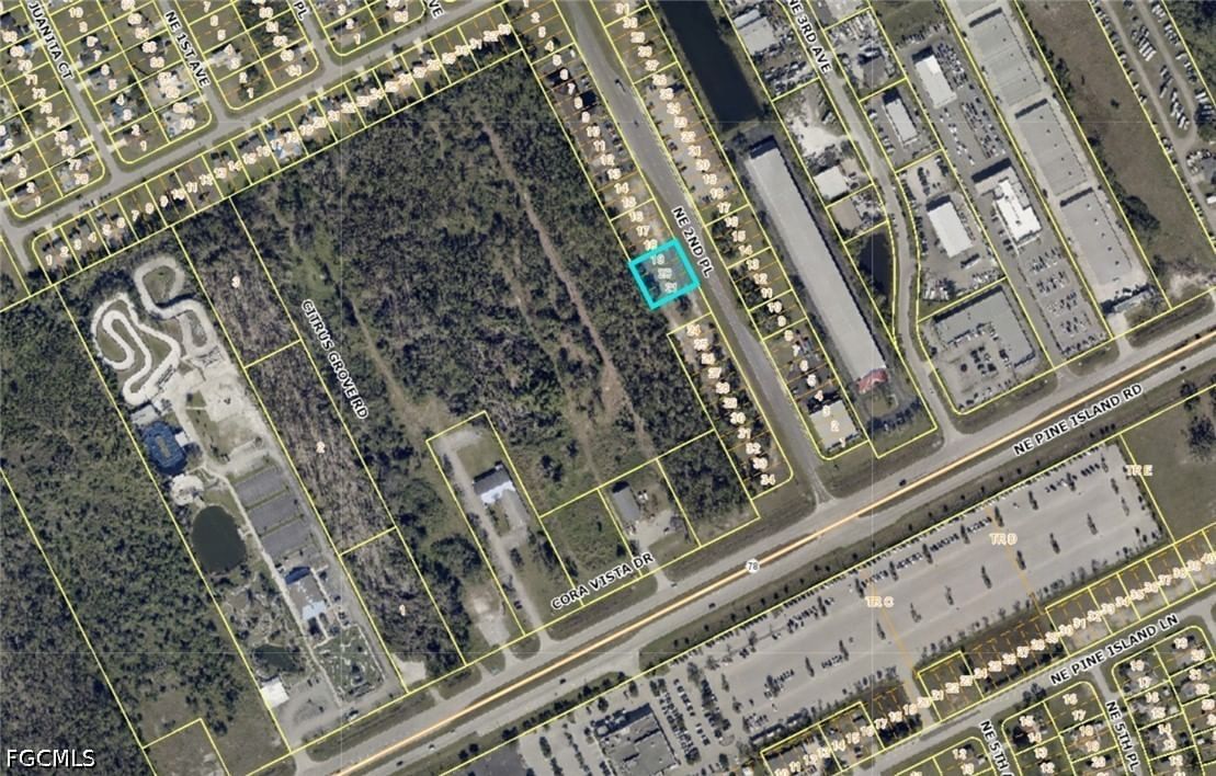330 NE 2nd Place, Cape Coral, FL 33909 photo 3