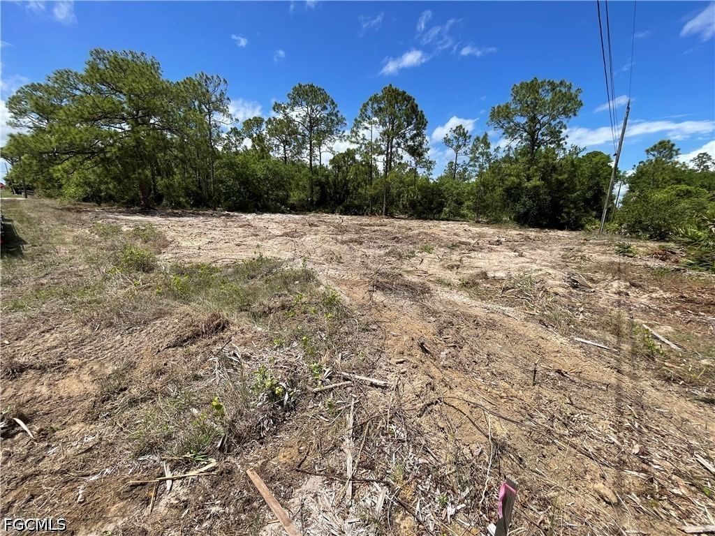 303 E 13th Street, Lehigh Acres, FL 33972 photo 3