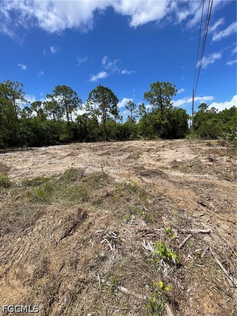 303 E 13th Street, Lehigh Acres, FL 33972 photo 4