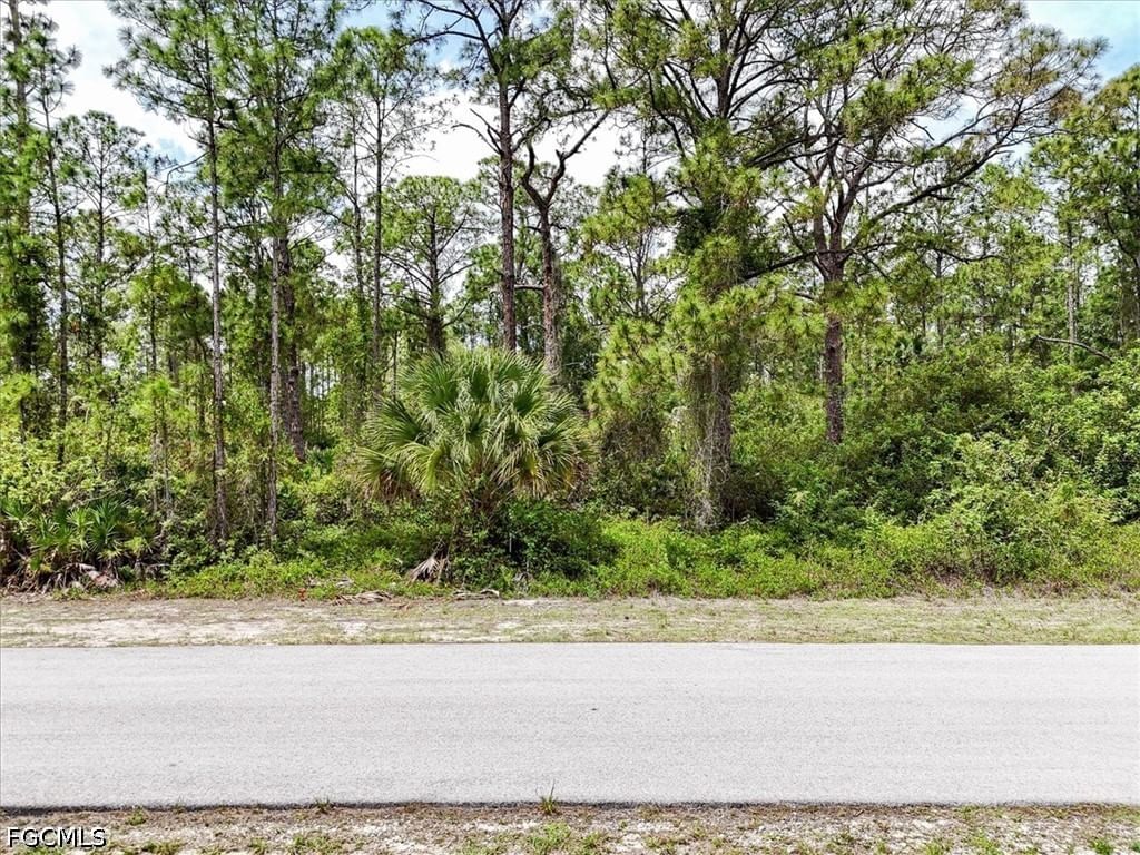 2117 Grayson Avenue, Alva, FL 33920 photo 2