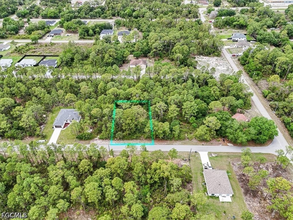 2117 Grayson Avenue, Alva, FL 33920 photo 3