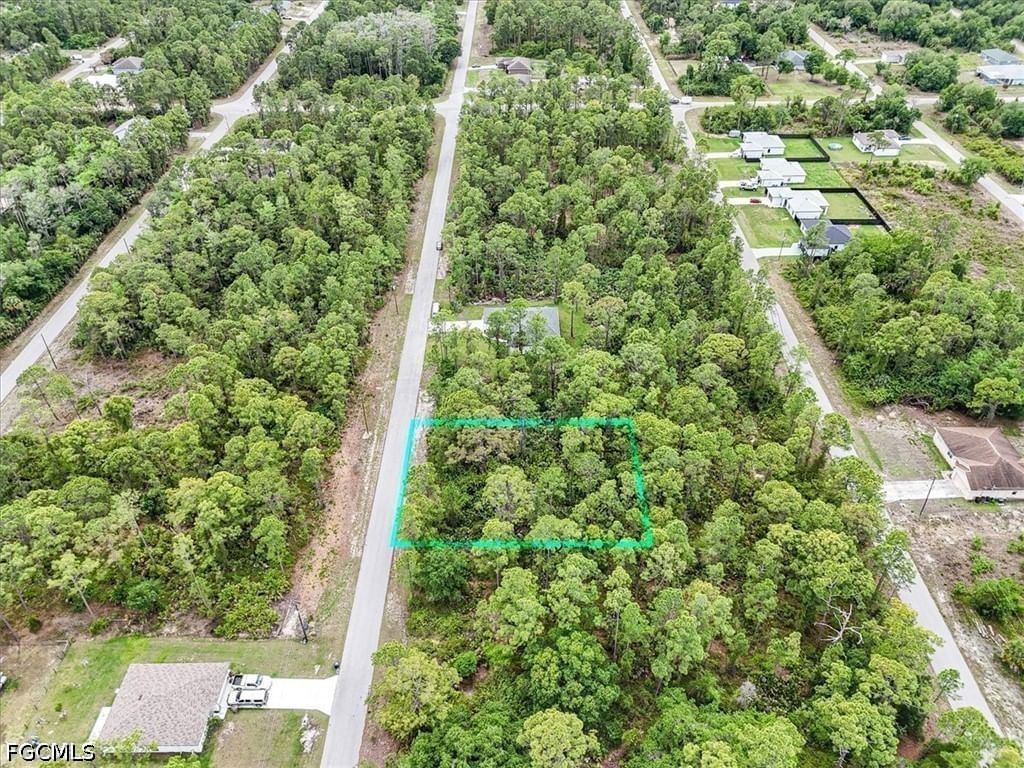 2117 Grayson Avenue, Alva, FL 33920 photo 5
