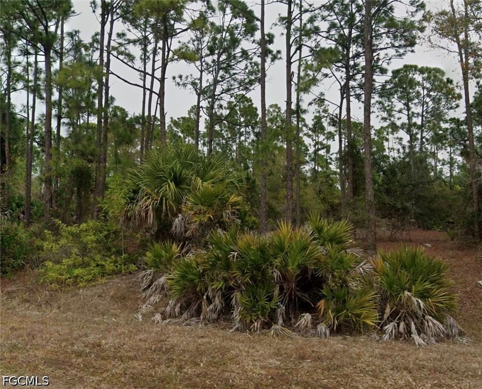 13346 Larrigan Drive, Punta Gorda, FL 33955 photo 2