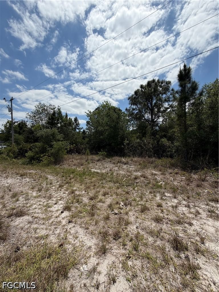 662 Chemstrand Street E, Lehigh Acres, FL 33974 photo 4