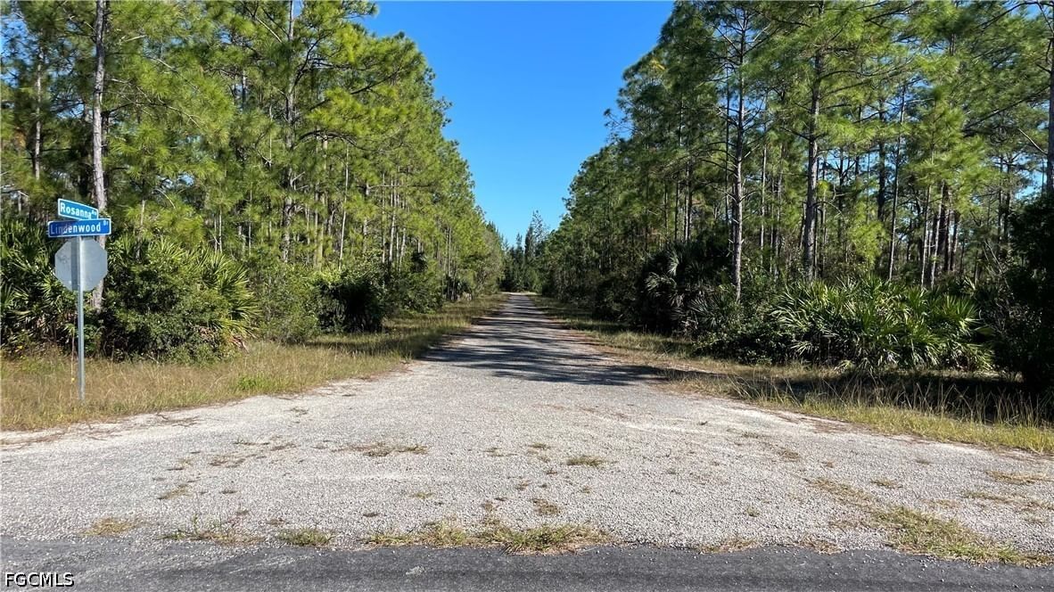 308 Rosanna Avenue, Lehigh Acres, FL 33972 photo 4